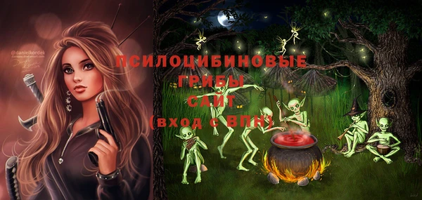 ешки Вяземский