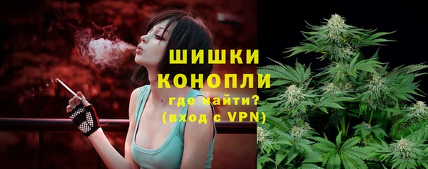ешки Вяземский