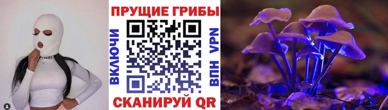 Псилоцибиновые грибы мицелий  Новохопёрск 
